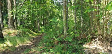 18100 Sundown Ct SE, Yelm, WA 98597 - photo 4