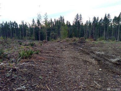 19124 86th Dr NW, Stanwood, WA 98292 - photo 6