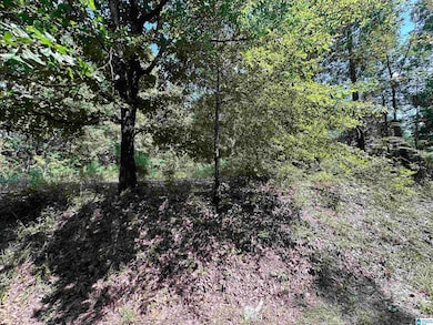 4976 Mountain Rd unit 22, Bessemer, AL 35023 - photo 3