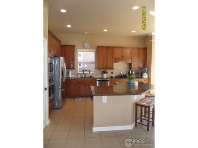 Large Gourmet Kitchen