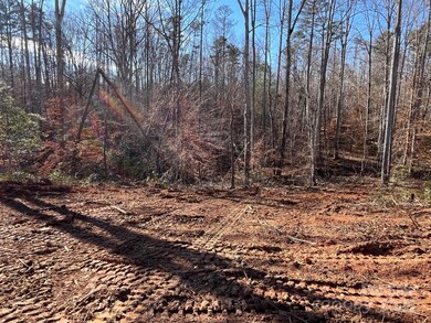 000 Hudlow Rd unit 3, Forest City, NC 28043 - photo 7