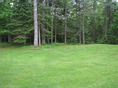 07 Backyard