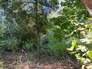 157 Park Dr, Point Roberts, WA 98281 - photo 2