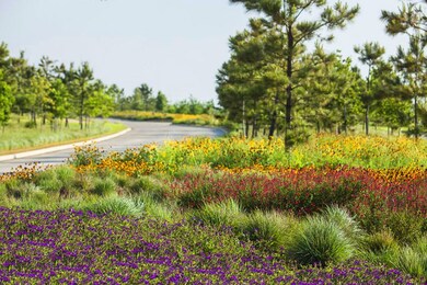 28722 Jade Springs Ln, Fulshear, TX 77441 - photo 7