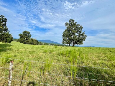 2992 River Rd, Chatsworth, GA 30705 - photo 6