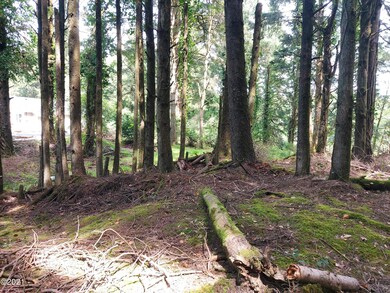 TL 2000 SW Bard Rd, Lincoln City, OR 97367 - photo 2
