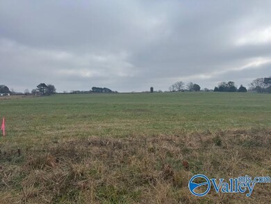 TRACT 6 Alabama 99, Elkmont, AL 35620 - photo 7