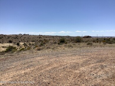 NYA  201 Road 3784, Farmington, NM 87401 - photo 6