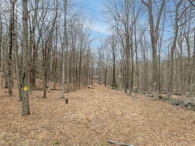 32 Joshua Hobby Ln, Pound Ridge, NY 10576 - photo 2