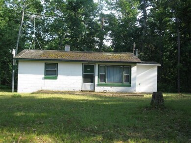 121 Bates Rd, Idlewild, MI 49642 - photo 3