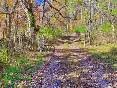 0 Seebert Rd unit 11616644, Droop, WV 24946 - photo 2