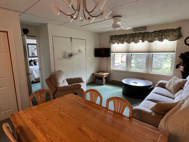 28 Packards Rd unit 311, Waterville Valley, NH 03215 - photo 7