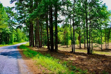 Expose Rd unit LotWP001, Columbia, MS 39429 - photo 4