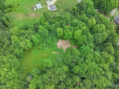 V/L Austin Rd, Geneva-On-the-lake, OH 44041 - photo 7