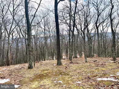 0 Laurel Dale Ridge Section unit WVGT2000170, Maysville, WV 26833 - photo 5