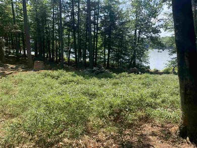 88 Cow Island, Tuftonboro, NH 03816 - photo 6