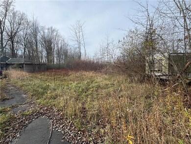 0 N Myers Rd unit 5085947, Geneva, OH 44041 - photo 3