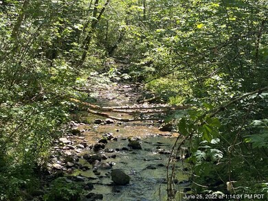 creek along property