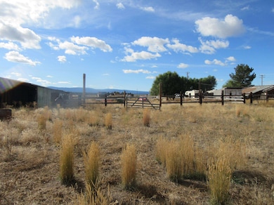 4130 Sheep Mountain Rd, MacDoel, CA 96058 - photo 4