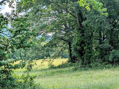 Unk Oklahoma 144, Octavia, OK 74957 - photo 3