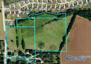 1 ACRE EASEMENT Jeff Rd NW, Huntsville, AL 35806 - photo 3