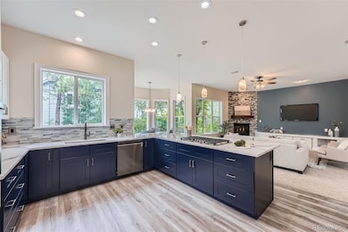 Brand new gourmet kitchen