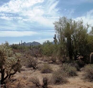 Sonoran Desert