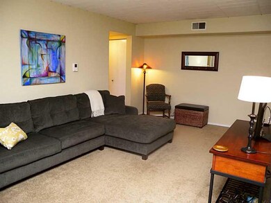 Living Room. Spacious living room with newer carpe