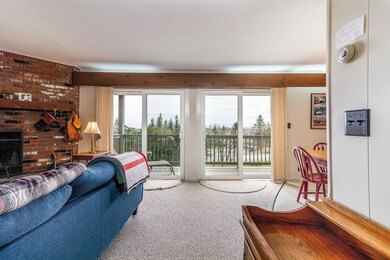 31 Farm Rd unit C2, Peru, VT 05152 - photo 5