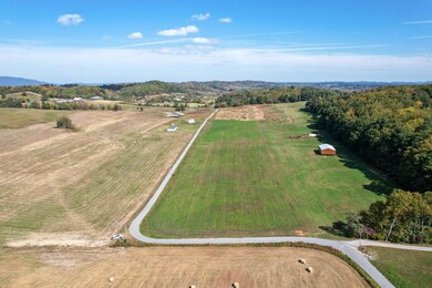 DJI_0385