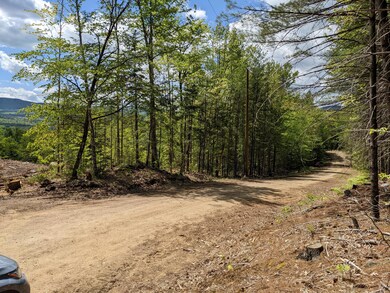 0 Fernald Hills Way unit 1532854, Stow, ME 04037 - photo 6