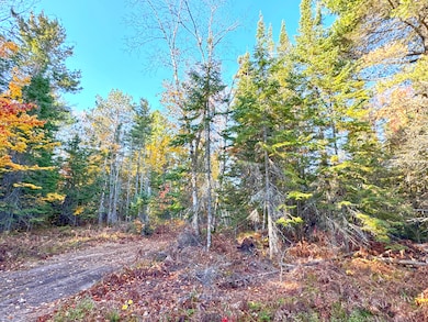 14859 N Whitefish Point Rd, Paradise, MI 49768 - photo 7