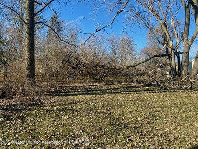 2923 Newark Ave, Lansing, MI 48911 - photo 5