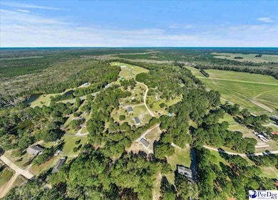 3037 Baxter Rd, Marion, SC 29571 - photo 3