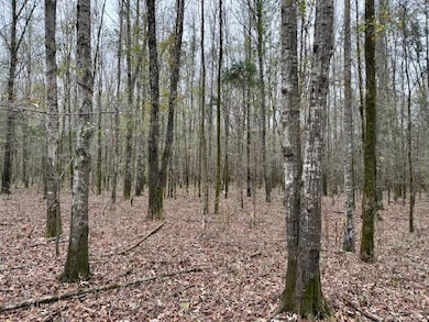 12 Acres Reed Rd, Starkville, MS 39759 - photo 7