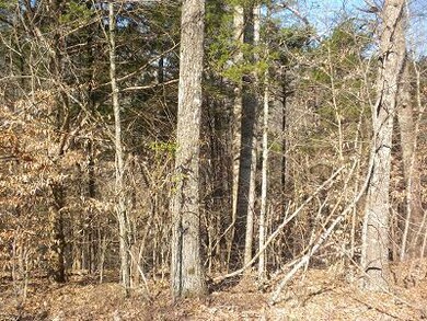 5.28 acre tract in beautiful Moore Country.