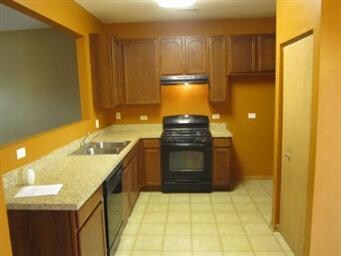 1012 Celebration Dr, Aurora, IL 60504 - photo 4