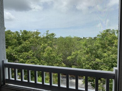 Salt Pond view