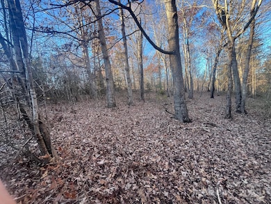 000000 Pinnacle Church Rd, Nebo, NC 28761 - photo 5