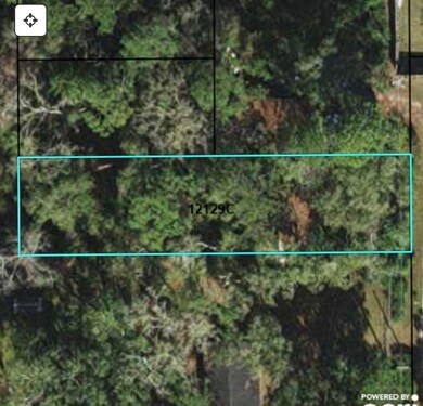 XX Merwyn Dr, Crawfordville, FL 32327 - photo 3
