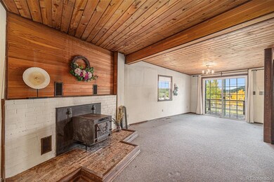 26003 Morris Ave, Conifer, CO 80433 - photo 3