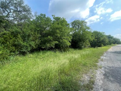 35054 Oak Forest Dr, Whitney, TX 76692 - photo 3