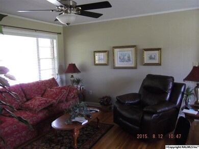 802 Nethery Rd SW, Hartselle, AL 35640 - photo 2