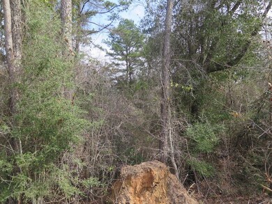 0 Gilmer Rd unit LotWP001, Taylorsville, MS 39168 - photo 6