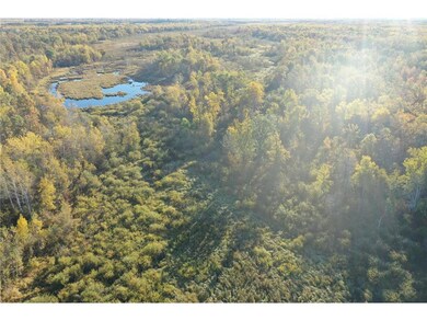 30xxx St Croix Trail, Swiss Township, WI 54830 - photo 4