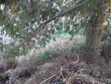 t/l 22200 SE Tide Ave, Lincoln City, OR 97367 - photo 2