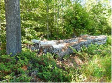 0 Route # 124~buckfield Rd unit 1141549, Hebron, ME 04238 - photo 4