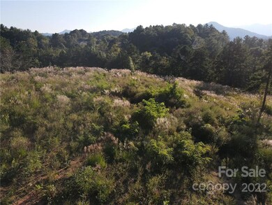 999999 Alexander Rd, Leicester, NC 28748 - photo 7