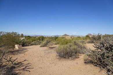 Lot View