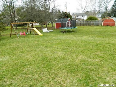 Backyard.